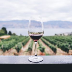 TEST Vin med alderskrav