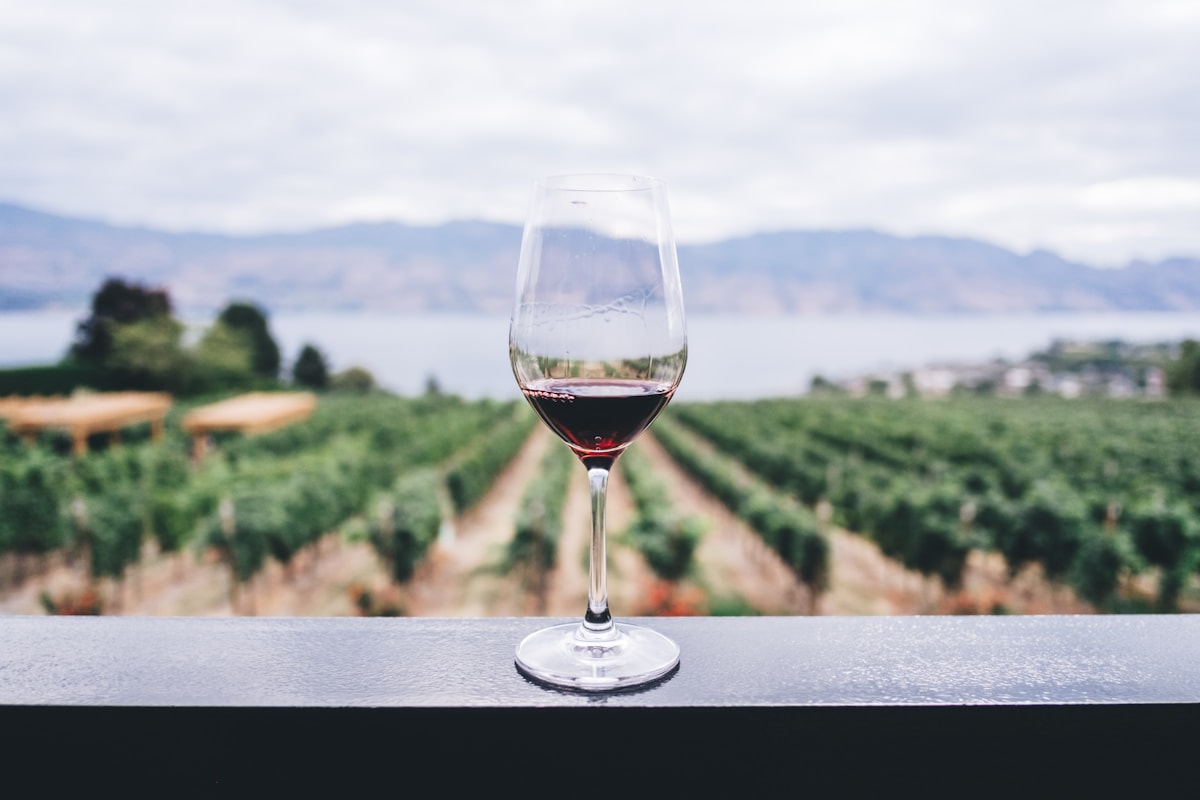 Vin og bordstemning